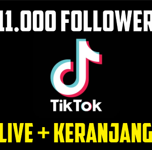 Akun Tiktok 11000 Follower Siap Live + Keranjang Kuning