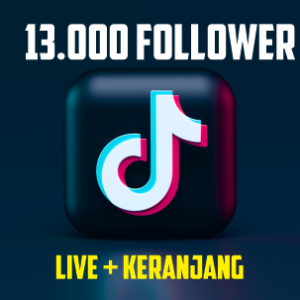 Akun Tiktok 13000 Follower Aktif Siap Live + Keranjang Kuning