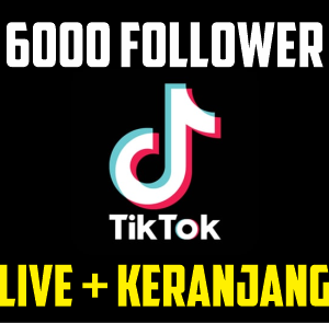 Akun Tiktok 6000 Follower Siap Live + Keranjang Kuning